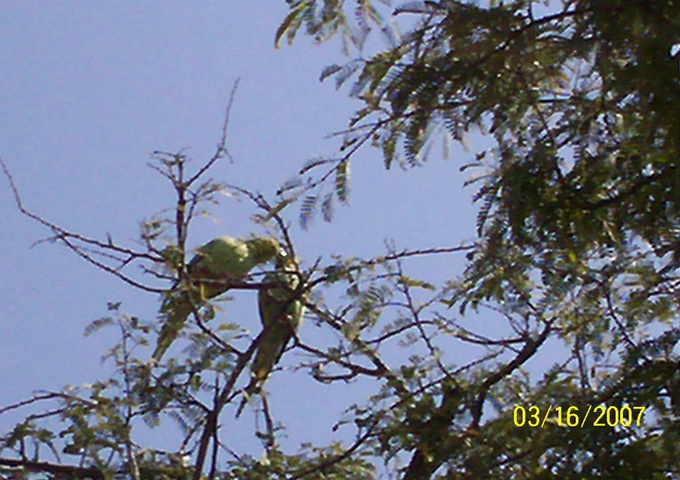 再現ドラマインド