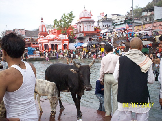 マハラシュトラ州インド