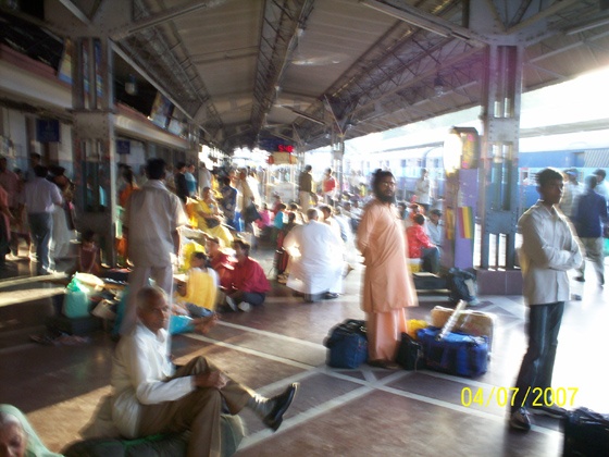 山羊乳製品インド