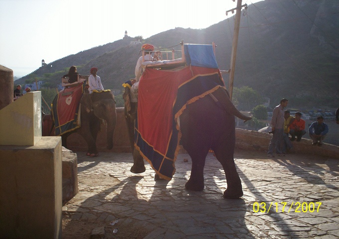 メディア関連インド