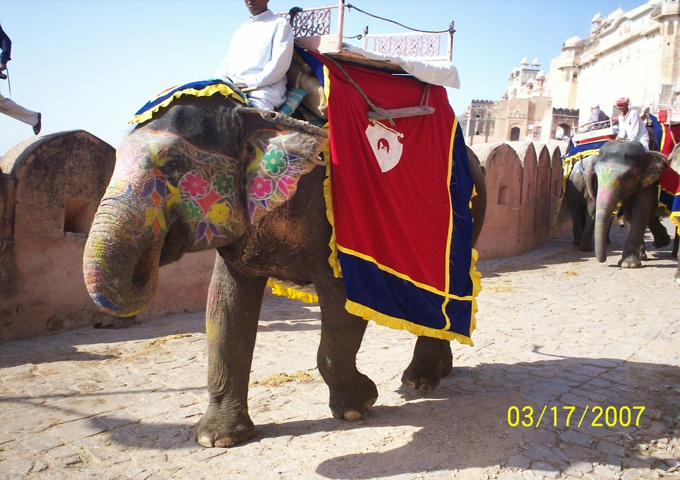 リサーチインド